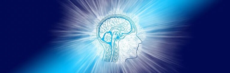 brain-4