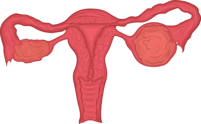 Ovary healthy & Cyst - depositphotos